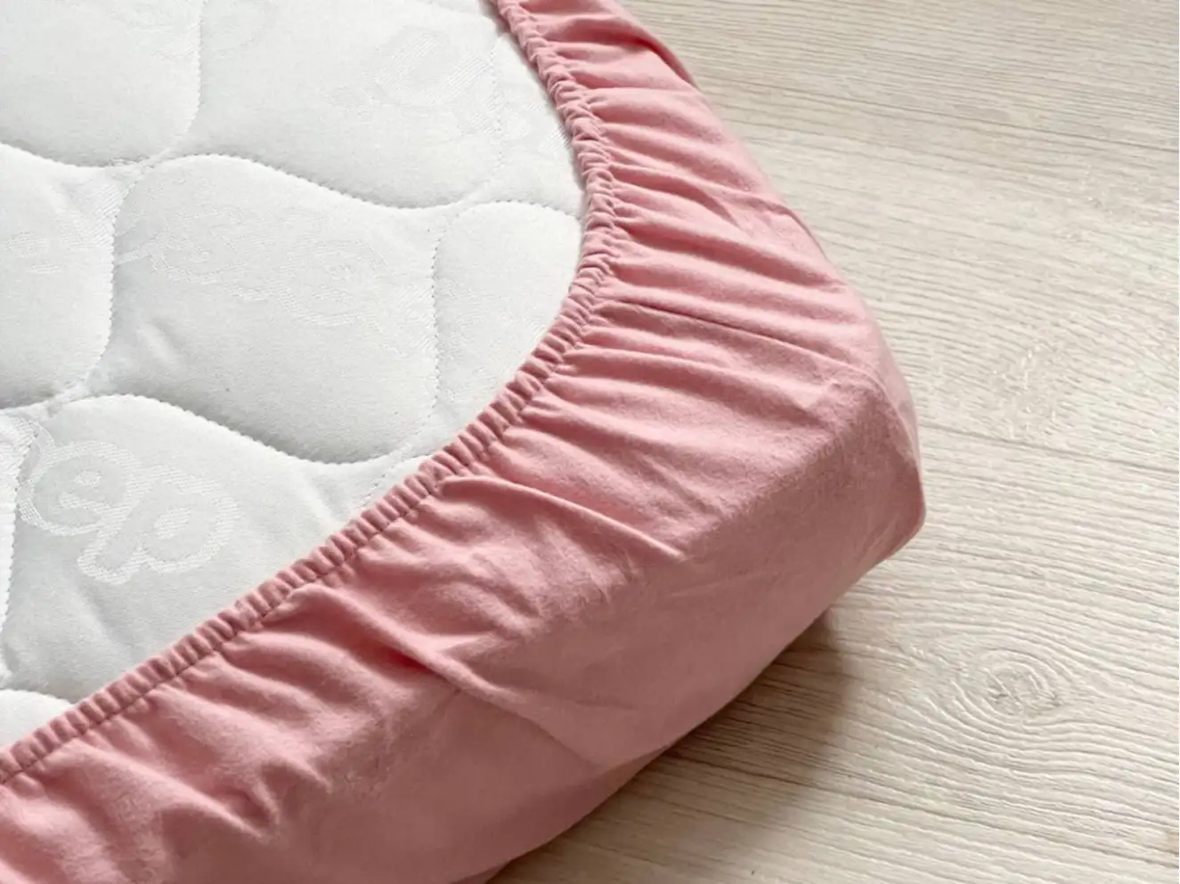 Комплект постельного белья фланель Веточки пудра